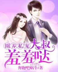 Ȧ��˽�裺���壬������
