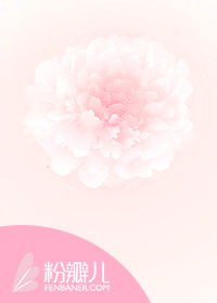 ʮ���Ż���