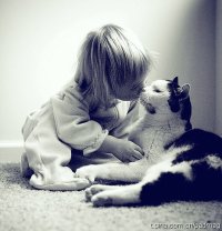 �ڰ������μ�
