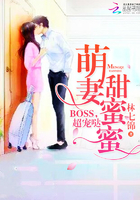 ���������ۣ�Boss��������
