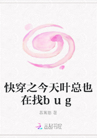 �촩֮����Ҷ��Ҳ����bug