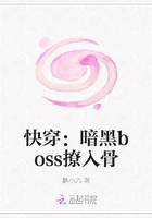 �촩������boss�����