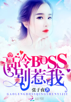 ����BOSS��������