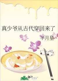 ����ү�ӹŴ���������