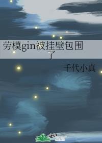 ��ģgin���ұڰ�Χ��
