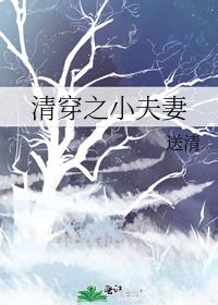 �崩֮С����