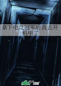 ���µ羺�ھ�����ȥ��������
