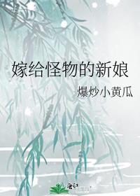 �޸����������