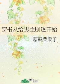 ����Ӹ�������͸��ʼ