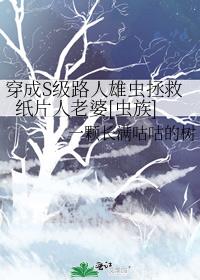 ����S��·���۳�����ֽƬ������[����]