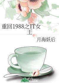 �ػ�1988֮ITŮ��