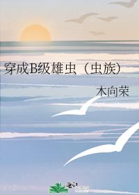����B���۳棨���壩