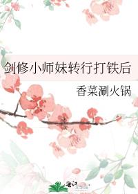 ����Сʦ��ת�д�����