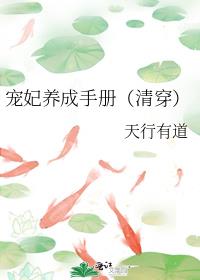 ���������ֲᣨ�崩��