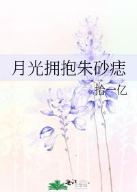 �¹�ӵ����ɰ��