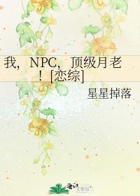 �ң�NPC���������ϣ�[����]