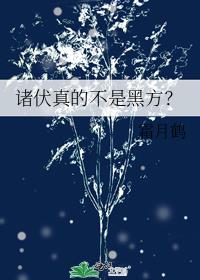 �����Ĳ��Ǻڷ���