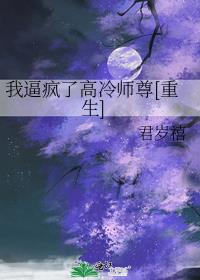 �ұƷ��˸���ʦ��[����]