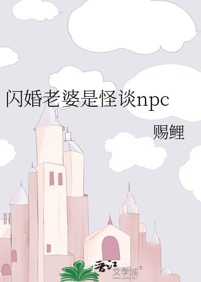 ���������ǹ�̸npc