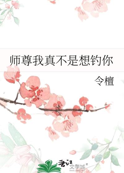 ʦ�����治�������