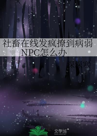 �������߷����õ�����NPC��ô��