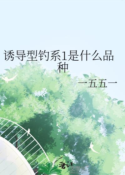 �յ��͵�ϵ1��ʲôƷ��