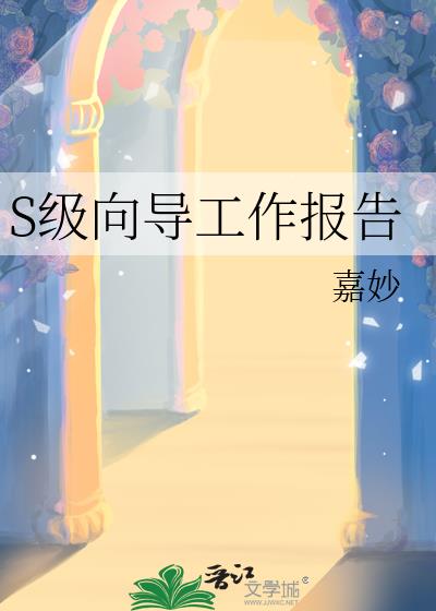 S���򵼹�������