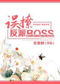 ���÷���Boss
