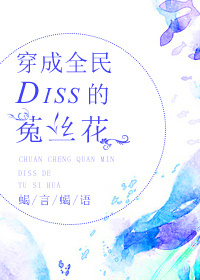 ����ȫ��Diss����˿��