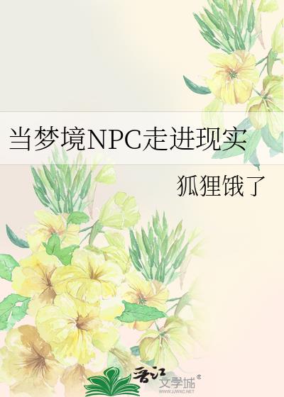 ���ξ�NPC�߽���ʵ