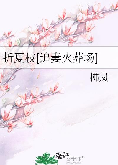 ����֦[׷�޻��᳡]