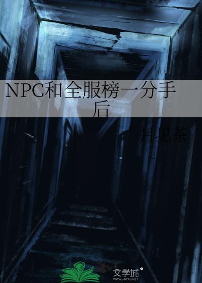 NPC��ȫ����һ���ֺ�