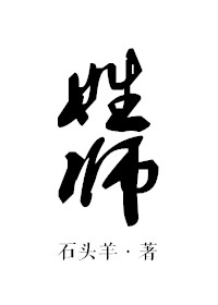 ��ʦ