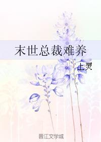 ĩ���ܲ�����
