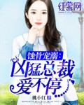 ʴ�ǳ��磺�����ܲð���ͣ