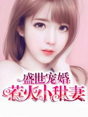 ʢ����飺�ǻ�С����